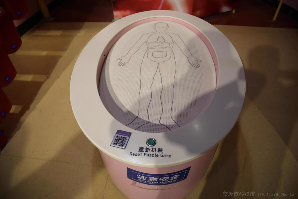 身体里面有什么